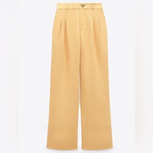 Zara Pants - Zara Pleated Orange Pants